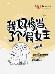 我好像当了个假女主漫画