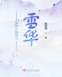 宠物小精灵剧场版4雪拉比 穿梭时空的相遇