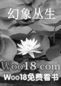 幻象丛生攻略什么时候做