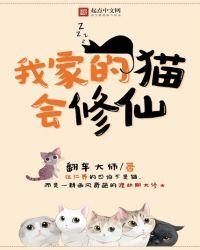 我家的猫会直播