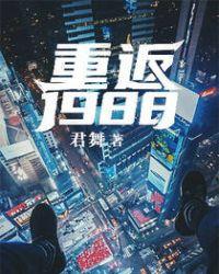 重返1988陆峰全文免费