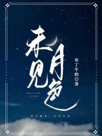 未见星月什么意思