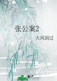 张公案2百度