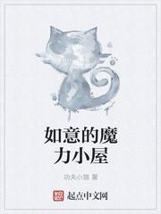 梦幻西游魔力如意丹